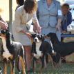 Fannie and Lynne puppy sweeps2013 ERSpecialty