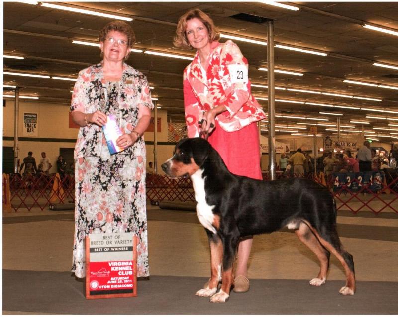 Peter wins Best of Breed at Richmond, Virginia dog show