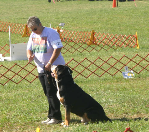 Denali and Shirley practicing Obedience